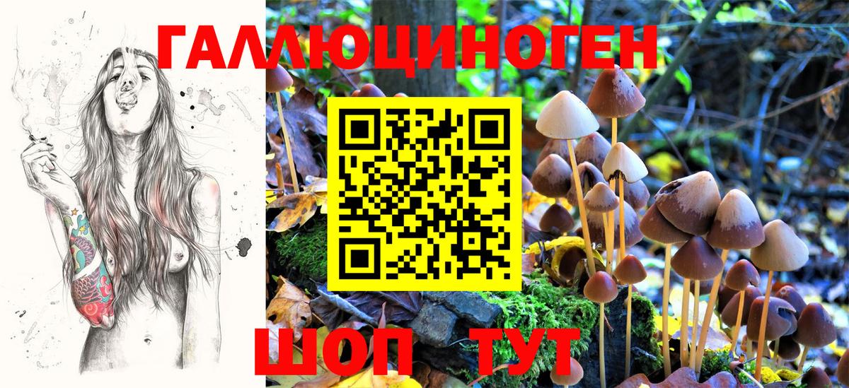 Топки  Псилоцибиновые грибы прущие грибы  Вход с VPN 
